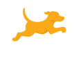 Fetch