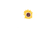Johnson County Kansas