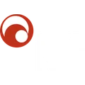 Networking For Future, Inc.