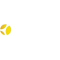AB InBev