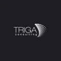 TRIGA Consulting GmbH & Co. KG