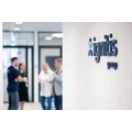 Ignitis grupė
