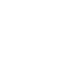 Branch