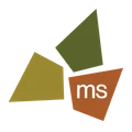 ms consultants
