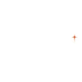 World Vision International