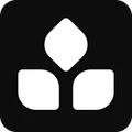 Thrive Protocol