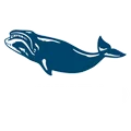 Bowhead