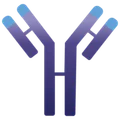 Immunovant, Inc.