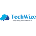 TechWize