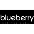 Blueberry Labs Private Limited