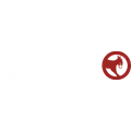 Burro
