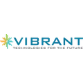 The Mental Health Association of NYC, Inc. dba Vibrant Emotional Health