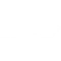 Bapcor