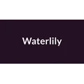Waterlily
