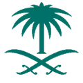 Saudi Olympic & Paralympic Committee