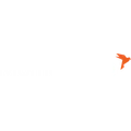 Momentum