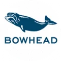 Bowhead