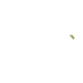 Artifex Interior Systems Limited