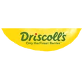 Driscoll's