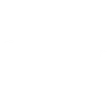 Steer