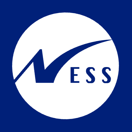 Ness Digital Engineering