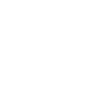 Morpho Labs