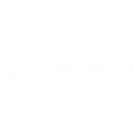 Sentinel Technologies Inc.