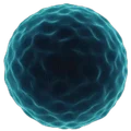 MaxAccelerate AI Labs
