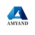 Amyand Consulting