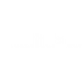 Auditdata
