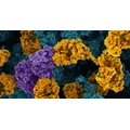 Generate:Biomedicines