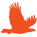 Aetos Systems, Inc.