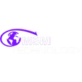 MSM Technology, LLC logo