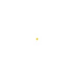 Propel America