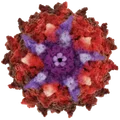AskBio Inc.